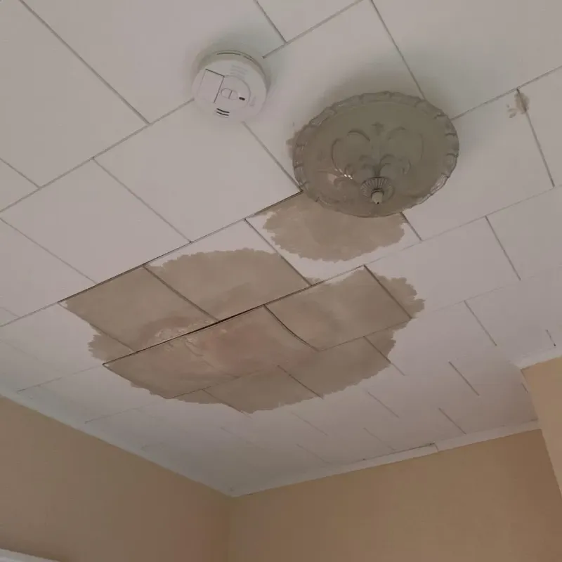 Ceiling Water Damage Repair in Portage Lakes, OH
