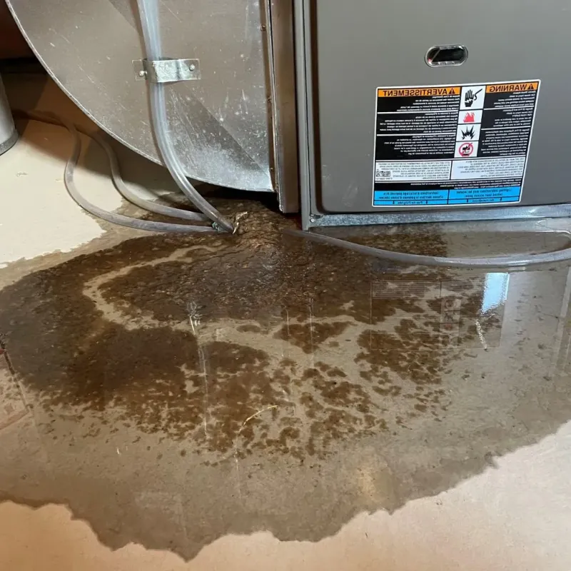 Pipe Burst and Leak Restoration in Portage Lakes, OH