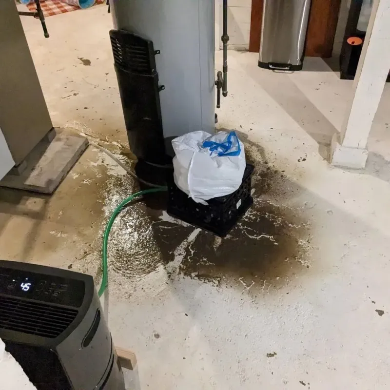 Sewage Backup Cleanup Service in Portage Lakes, OH